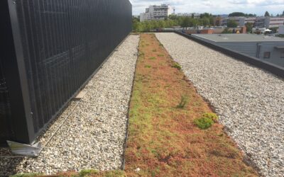 Quels matériaux innovants pour renforcer la durabilité des toitures étanches en climat tempéré / chaud humide ?