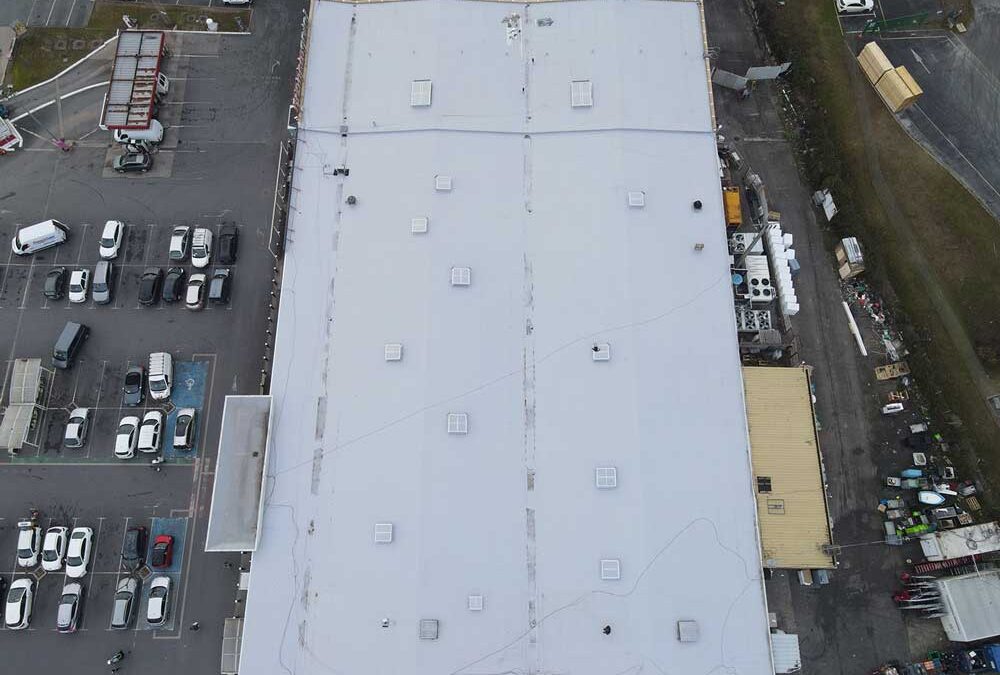 Rénovation d’un bâtiment des années 1980 à Lavaur : le savoir-faire ATE à l’œuvre