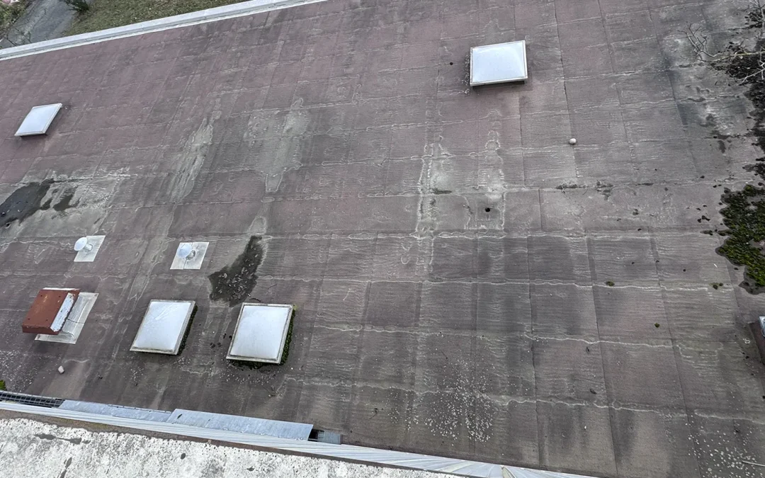 Rénovation toiture sur Toulouse: autopsie d’un désastre évité de justesse.